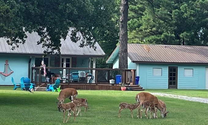 Mead Maison | fishing ~ plenty of parking ~ 1/2 mile to marina ~ 5 min to new WestBay casino
