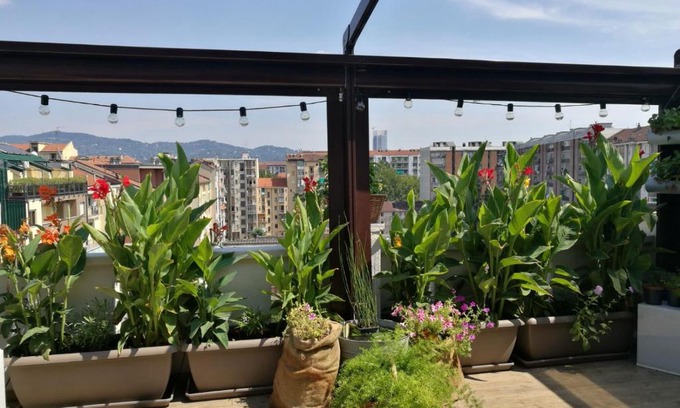Mirafiori Appartement | Floorplan B - 208