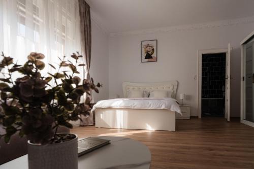 Oradea Appartement | Floris11 Aparthotel Oradea