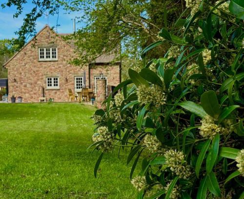 Coleford Maison | Flurry's Lodge