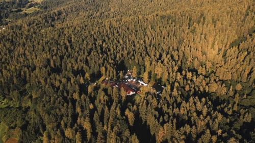 Ronzo-Chienis Hôtel | Forest Camp Val di Gresta