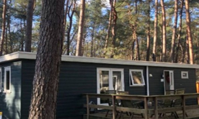 Wechelderzande Chalet De Ski | Chalet tranquille dans une pinède à Anvers