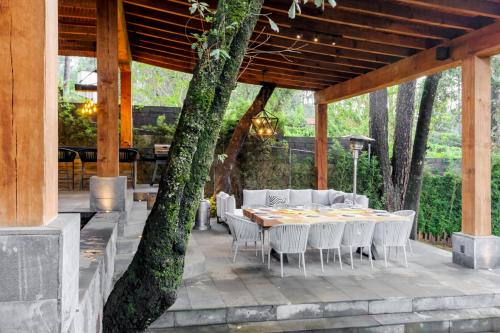 Avandaro Maison | Forest Guesthouse Avándaro, Entretenimiento y Confort para grandes y chicos