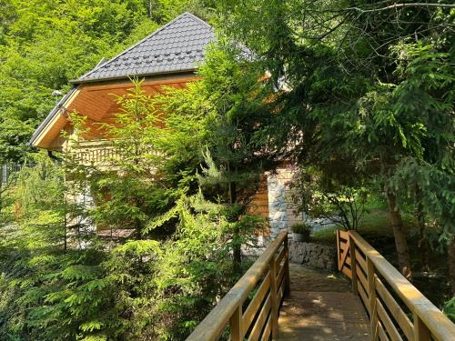 Makow Podhalanski Chalet De Ski | Forest House- dom nad górskim potokiem