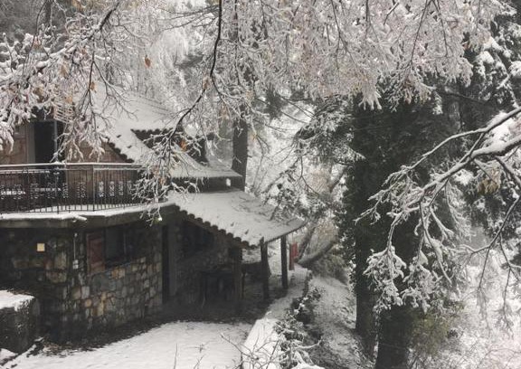 Amfikleia-Elateia Appartement | Forest House