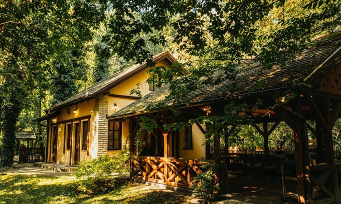 Palic Maison | Forest House