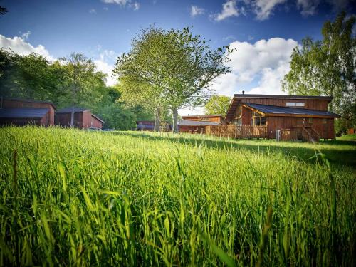 Berry Hill Station Balnéaire | Forest of Dean Cabins - Forest Holidays