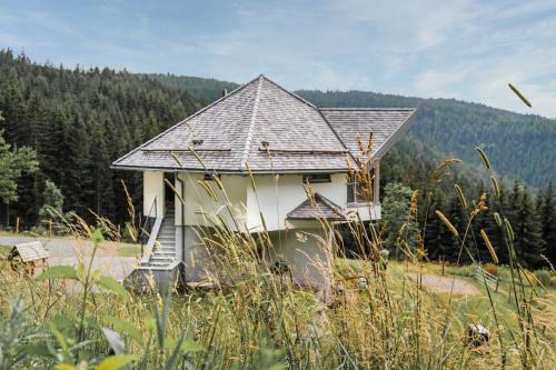 Frauenstein Maison | Forsthaus Gray 4