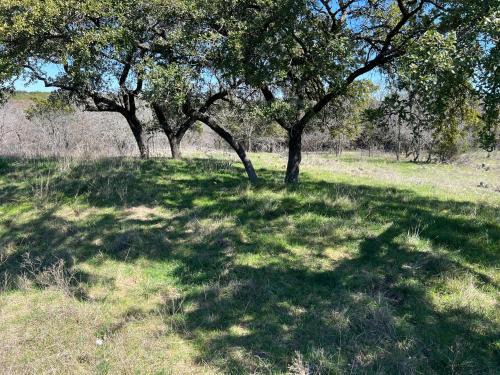 Clifton Autre | Fossil Trace Ranch