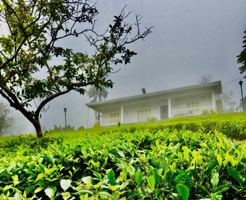 Pirmed Maison | Four Winds Plantation Homestay Approved by Dept of Tourism Govt of Kerala
