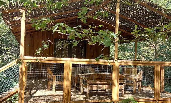 Saint-Pierre-des-Echaubrognes Cabine | Cabane Cap Town dans la forêt