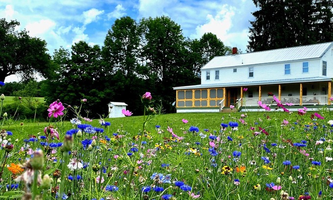 Fishs Eddy Maison | FRENCH WOODS FARMHOUSE | TimeOut NY's Pick in Hancock