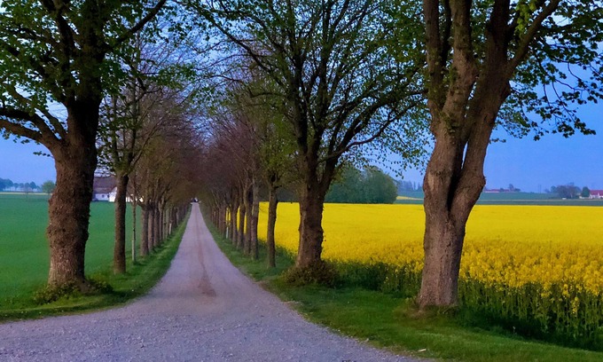Tommarp Cottage | Fresh and comfortable farmhouse in idyllic village environment in Österlen. Private sunny patio