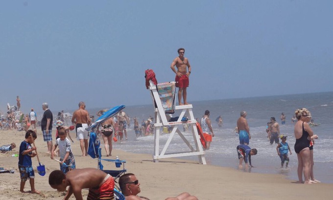 Ocean City Appartement | FRESHLY PAINTED, BRAND NEW CARPET, BRAND NEW REFRIGERATOR - 11/1 MOVE-IN.