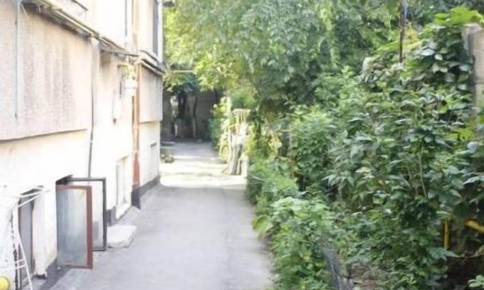 Sector 2 Maison | Friendly Studio 5.