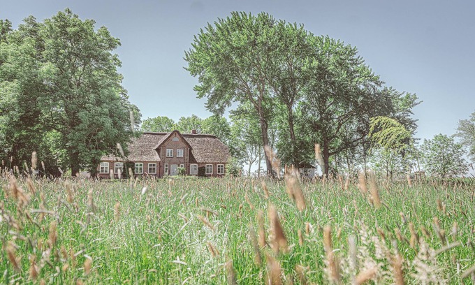 Tetenbull Appartement | Friesenhof Benen Diken - Landlust près de St Peter-Ording