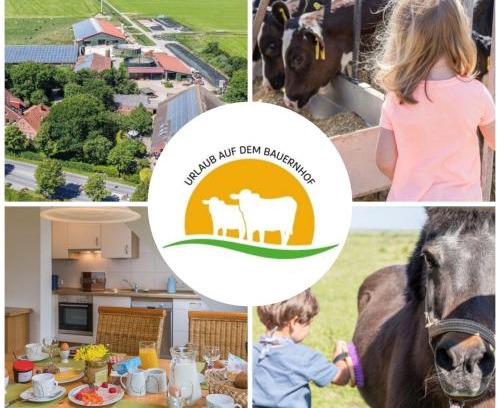 Groß Holum Appartement | Friesenhof Janssen - Urlaub auf dem Bauernhof