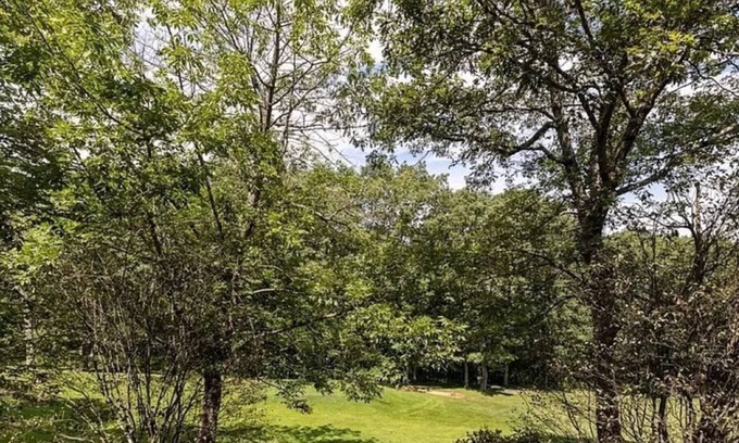 Nellysford Copropriété | Fully renovated condo at Fairway Woods! 20% off for 5 nights or more!
