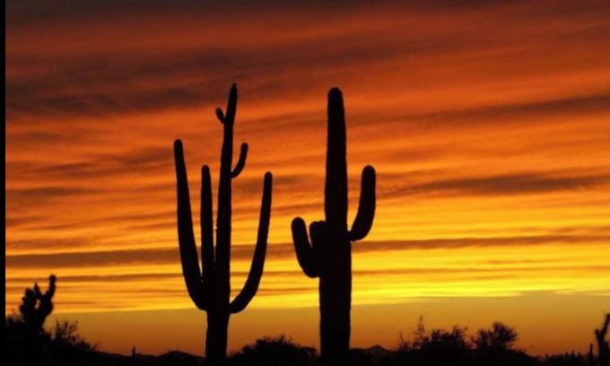 Cottonflower Maison | S'AMUSER AU SOLEIL D'ARIZONA!