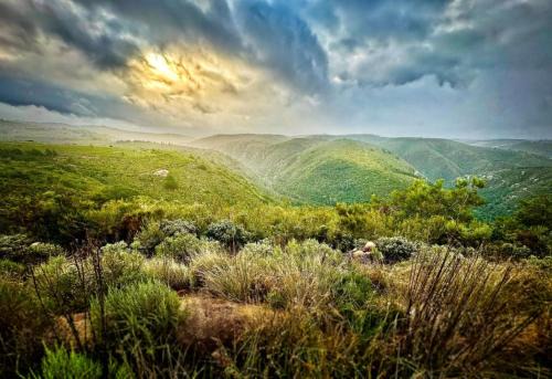 Brandwag Appartement | Fungamukaba Sanctuary - Stone Cottage