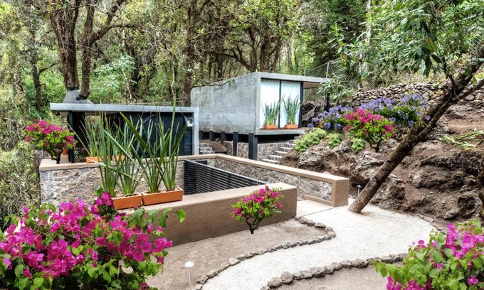 Tepoztlan Appartement | Fungi Tepoz Cabins