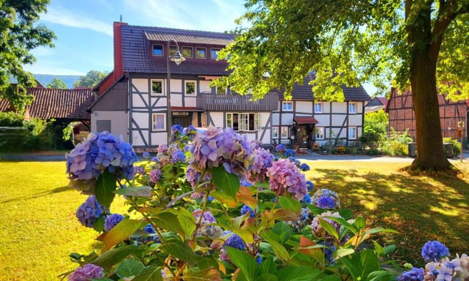 Hemeln Appartement | Gästehaus am Weser-Radweg