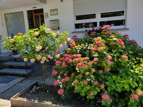 Helmsheim Maison | Gästehaus Eissler