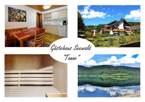 Blasiwald Appartement | Gästehaus Seewald- Ferienwohnung 3 "Tanne", Schluchsee, Blasiwald