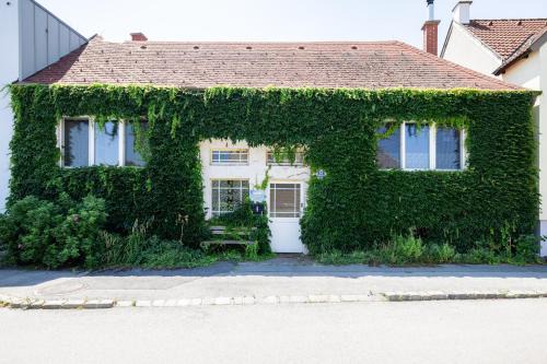 Eisenstadt Maison | Gästehaus Tanja & Claus