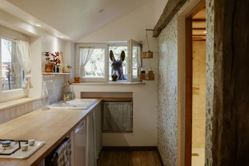 Les Hays Appartement | Gîte à la ferme - Animaux et séjour ressourçant