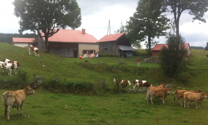 Bellecombe Maison | Gîte 3 ch. 10 pers. sans voisin sur 30 hectares