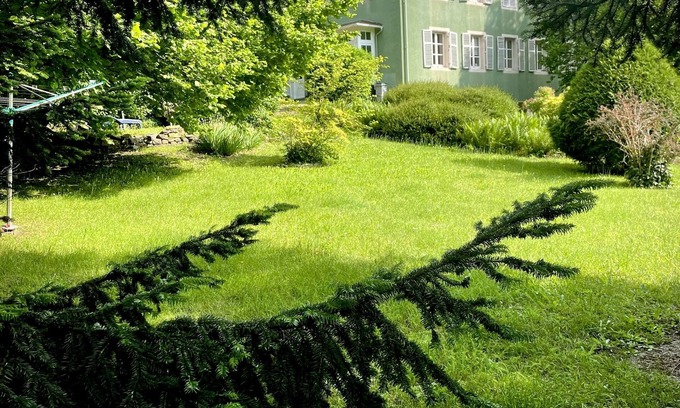 Husseren-Wesserling Cottage | Gîte A l'Ombre des tilleuls