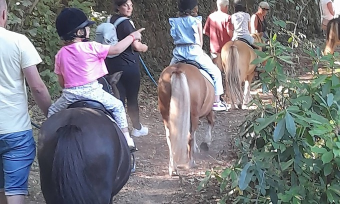 Colognac Autre | Gîte à la ferme équestre Les poneys du val d'emeraude