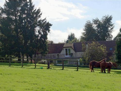 Radon Maison | Gîte cosy avec accès à un camping, étang, VTT, et proche de randonnées et d'Alençon, animaux acceptés - FR-1-497-111