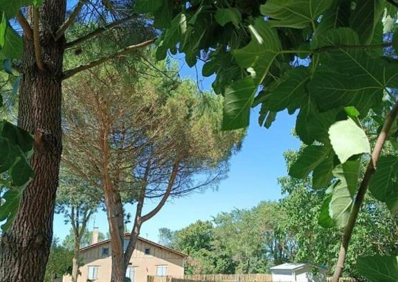 Touget Maison | Gîte d'En Lébé