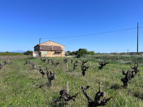 Pont-Saint-Esprit Maison | Gîte d'ysée au milieu des vignes
