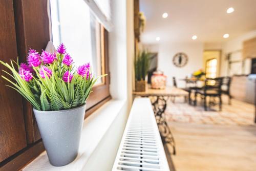 Vinay Appartement | Gîte de la Liberté