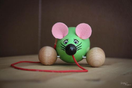 Molamboz Maison | Gîte De La Souris Verte