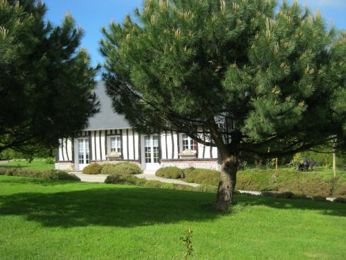 Brunville Maison | Gîte des Pins Penchés
