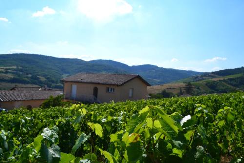 Jullie Maison | Gîte du Domaine de la Milleranche