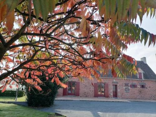 Moitron-sur-Sarthe Maison | Gîte en campagne rénové avec cheminée, grands jardins, WiFi, près d'un village médiéval. - FR-1-410-334