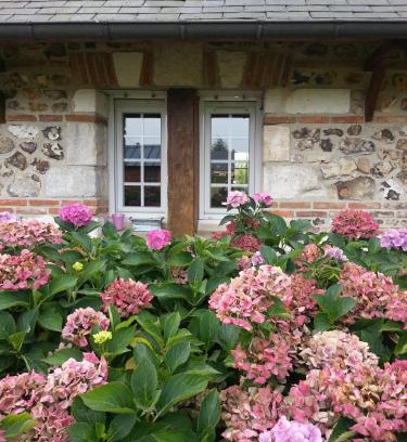 Barneville-sur-Seine Maison | gîte la chartrie