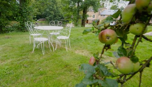 Warnecourt Appartement | Gîte le Moulin de Warnécourt