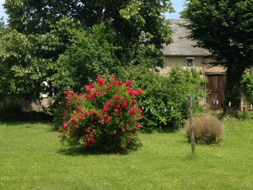 Alluy Maison | gîte le tilleul de la Fontaine