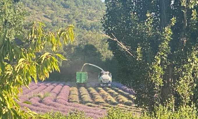 Reillanne Maison | Gîte Le Tramontane Meublé de tourisme 4 étoiles Le Moulin de Prédelles