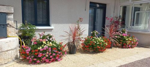 Boulleret Maison | Gîte les Hortensias