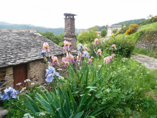 Navas Maison | Gîte Maison Cavalier 2/4 personnes à Gabriac
