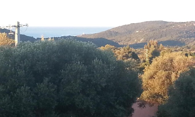 Monacia-d'Aullene Appartement | Gîte Tomasini