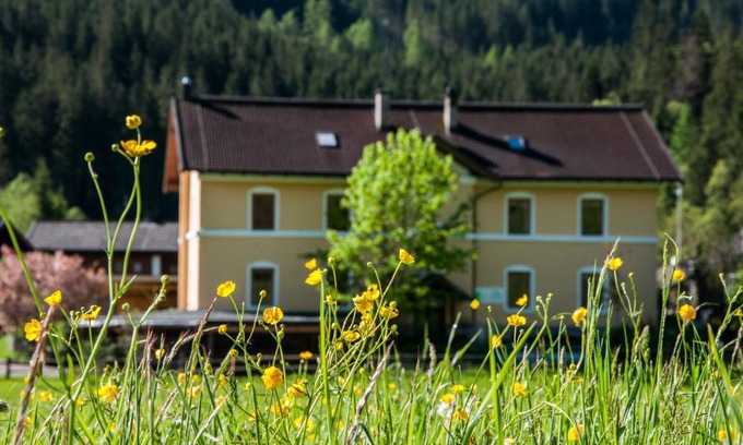 Wald im Pinzgau Appartement | Gabis Lodge