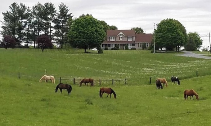 Zullinger Appartement | Galloping Getaway on the rolling hills of GemStone Stable